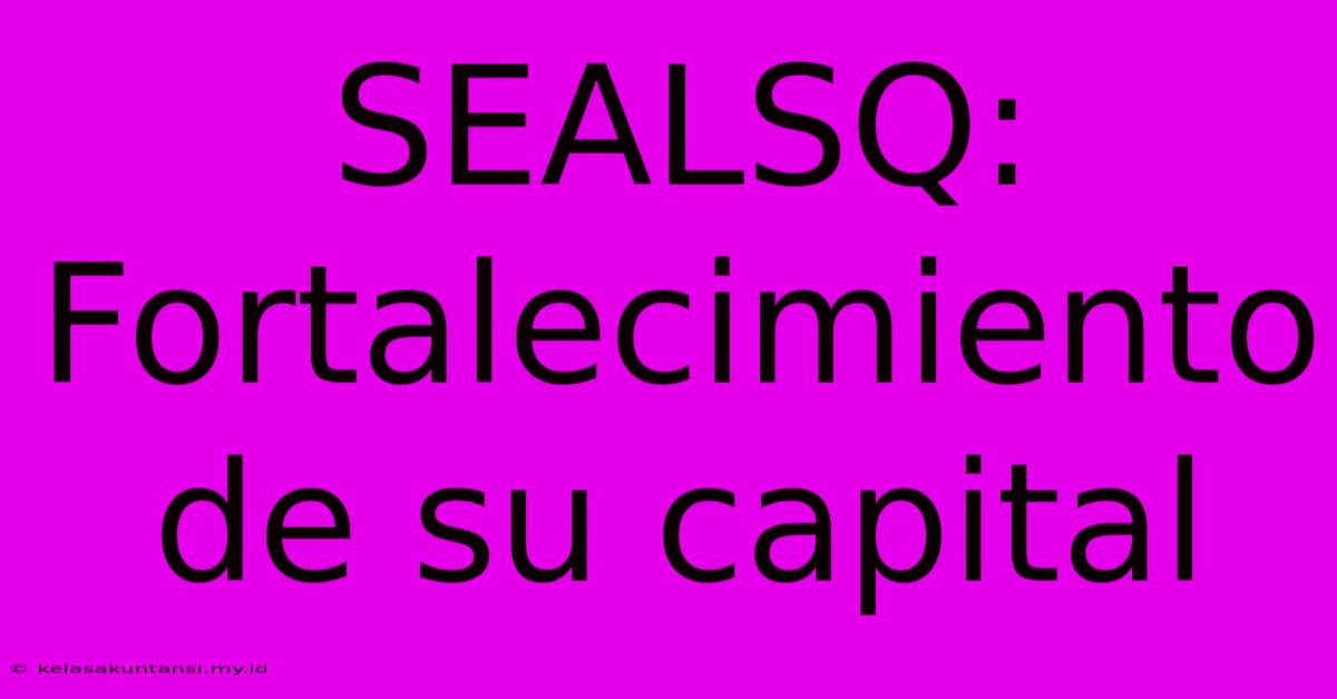 SEALSQ: Fortalecimiento De Su Capital