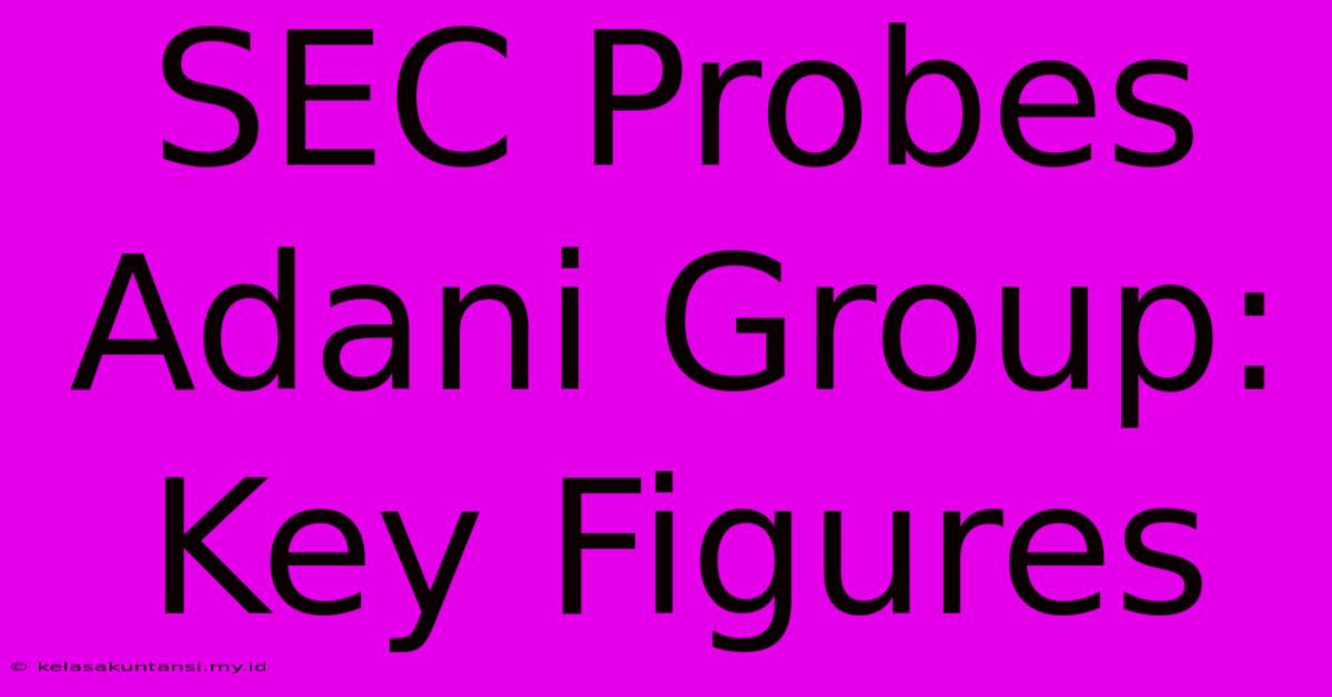 SEC Probes Adani Group: Key Figures