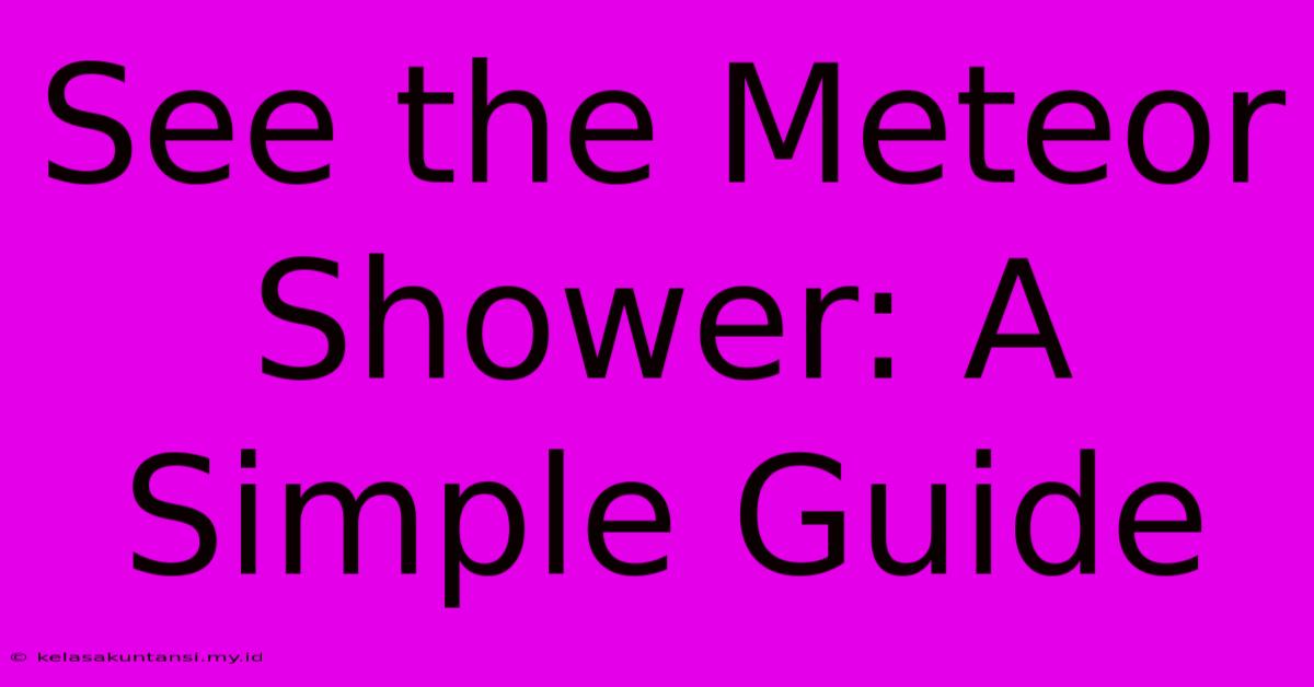 See The Meteor Shower: A Simple Guide