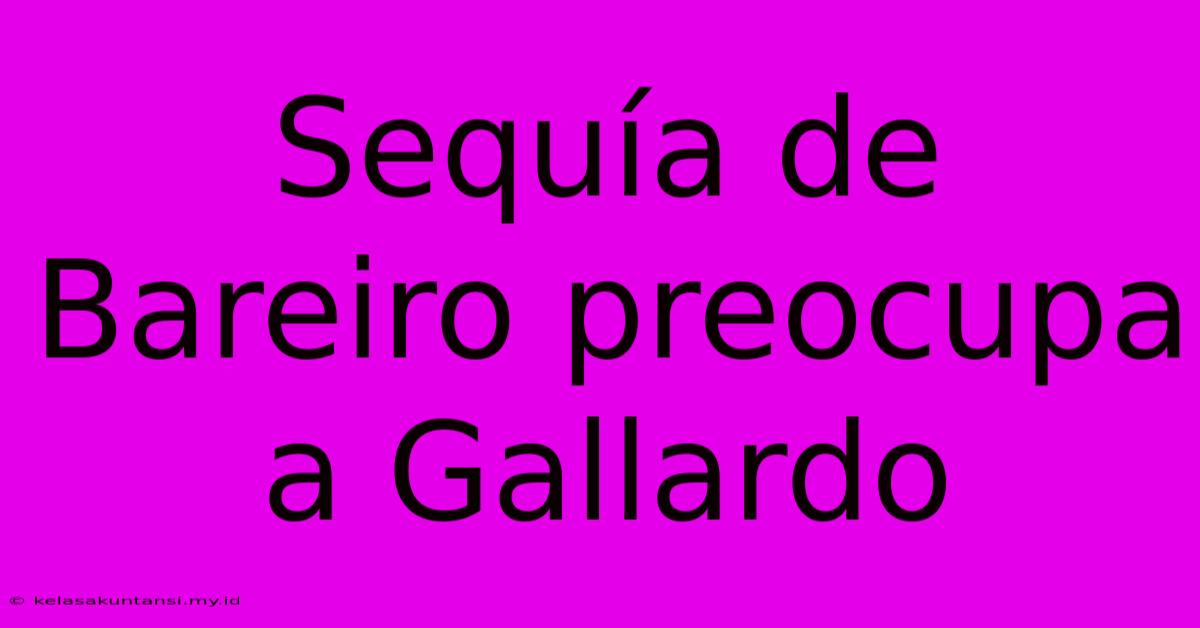 Sequía De Bareiro Preocupa A Gallardo