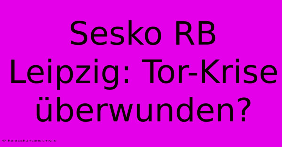 Sesko RB Leipzig: Tor-Krise Überwunden?