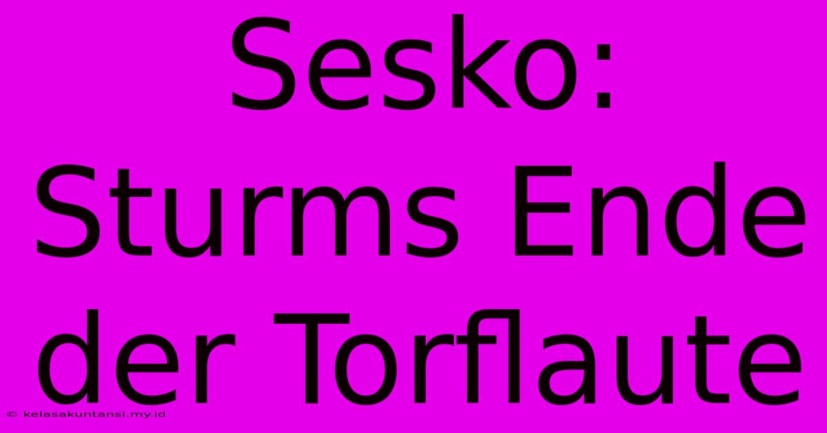 Sesko: Sturms Ende Der Torflaute