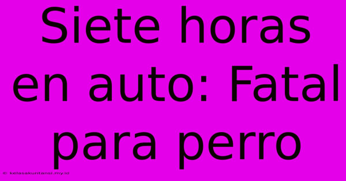 Siete Horas En Auto: Fatal Para Perro