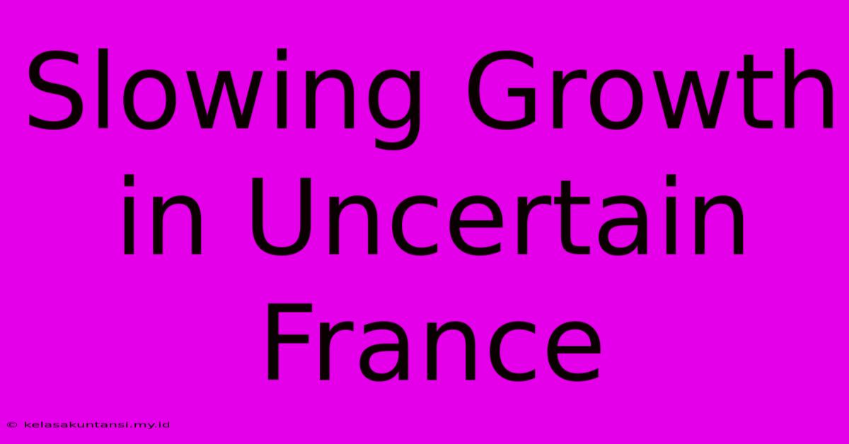 Slowing Growth In Uncertain France