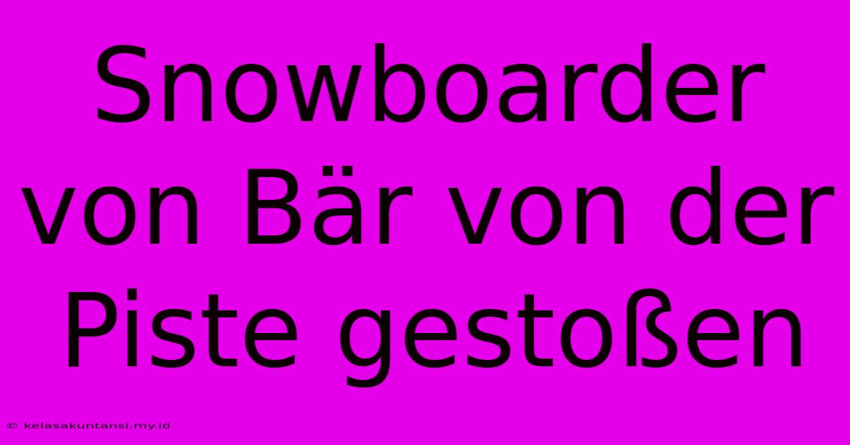 Snowboarder Von Bär Von Der Piste Gestoßen