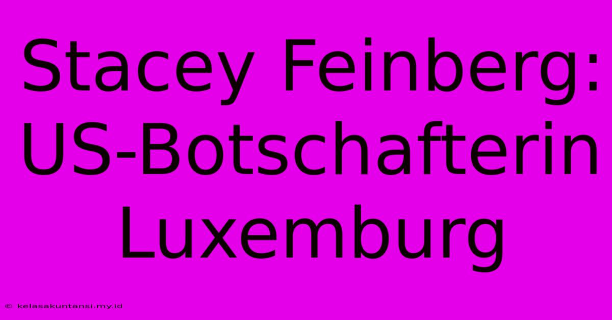 Stacey Feinberg: US-Botschafterin Luxemburg