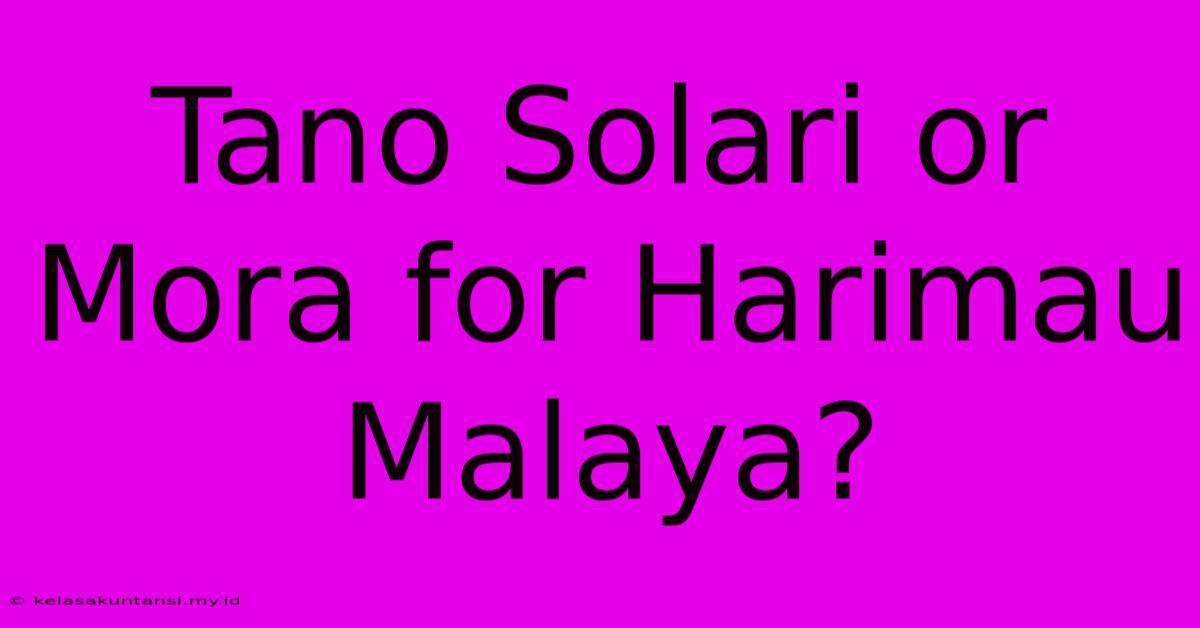 Tano Solari Or Mora For Harimau Malaya?