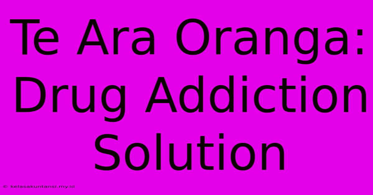 Te Ara Oranga: Drug Addiction Solution