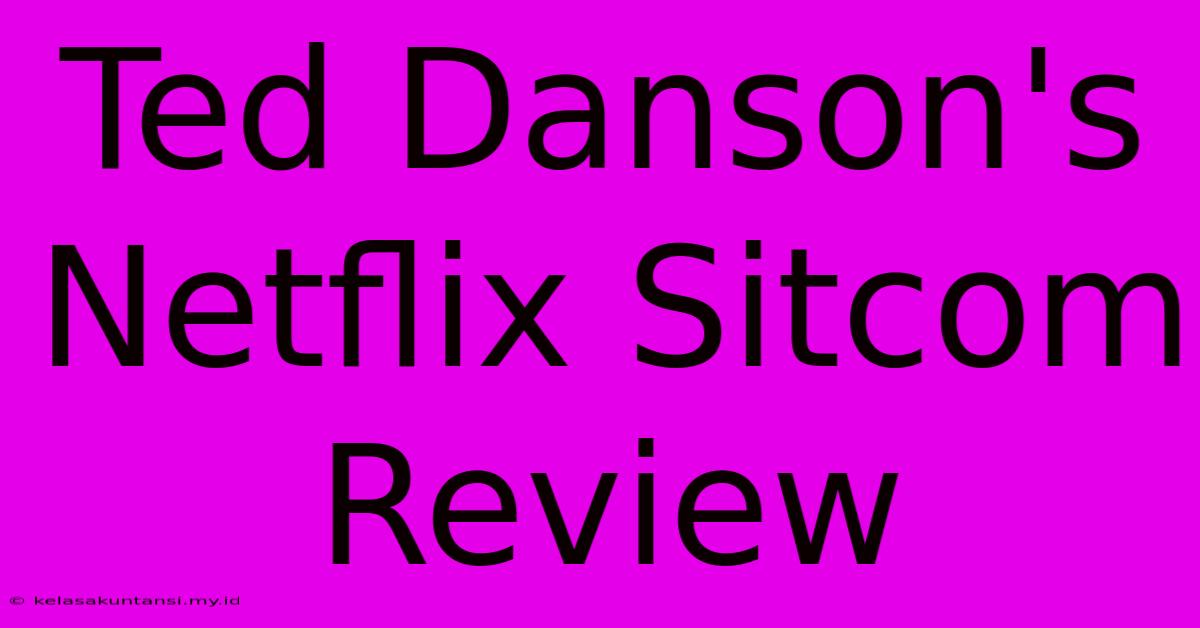 Ted Danson's Netflix Sitcom Review