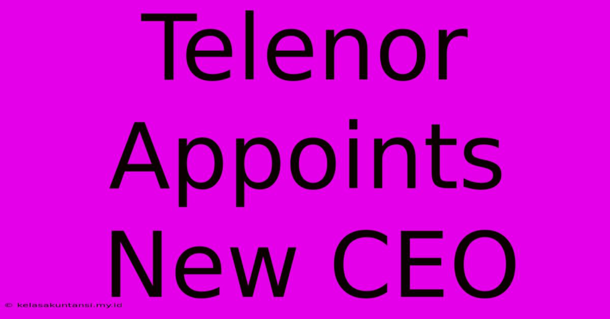 Telenor Appoints New CEO