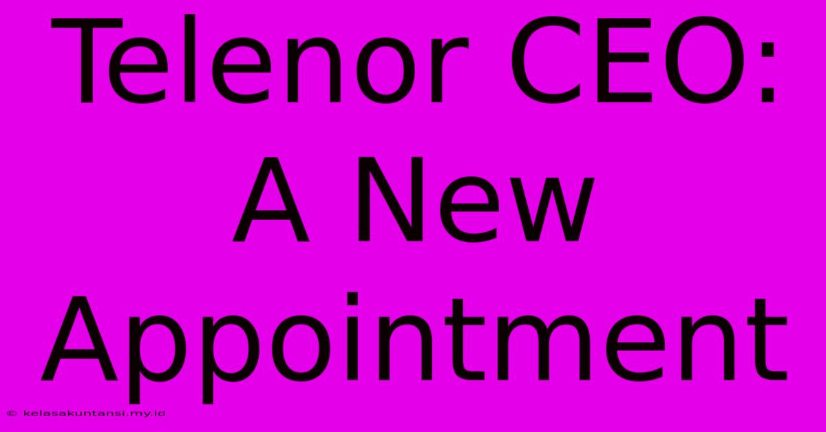 Telenor CEO: A New Appointment