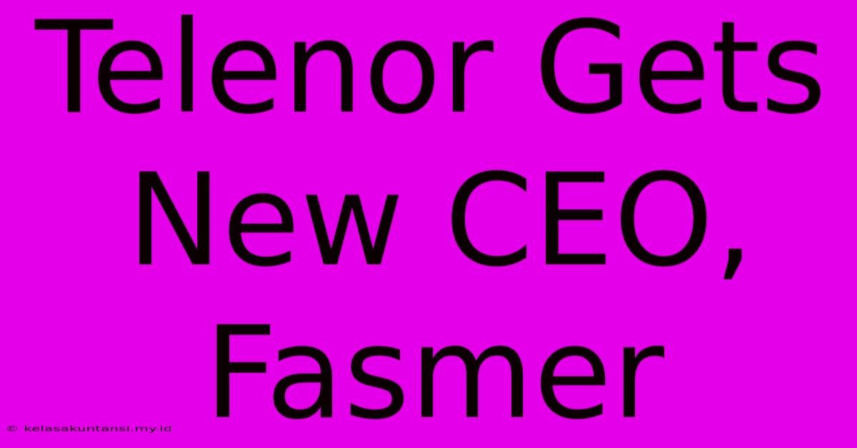 Telenor Gets New CEO, Fasmer