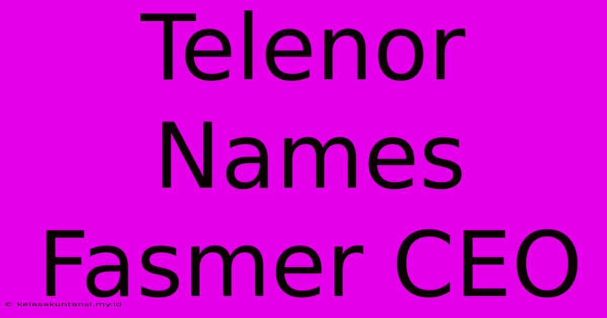 Telenor Names Fasmer CEO