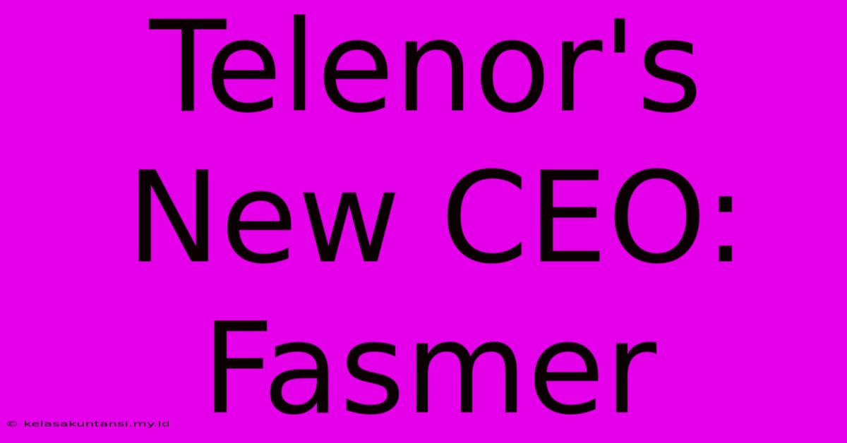 Telenor's New CEO: Fasmer