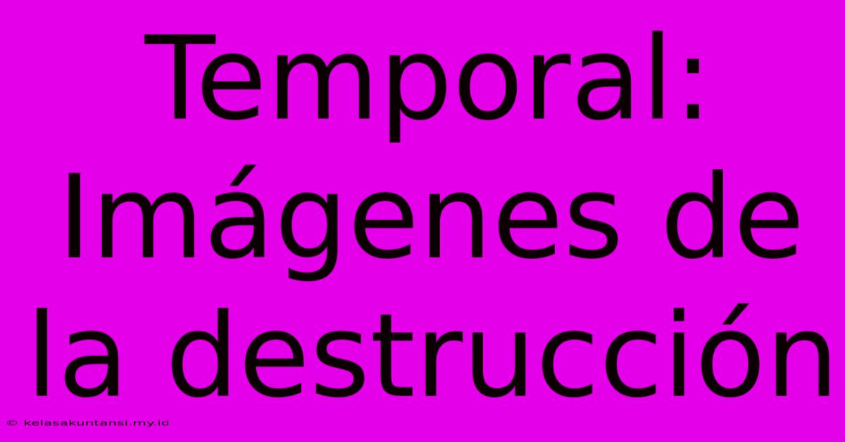 Temporal: Imágenes De La Destrucción