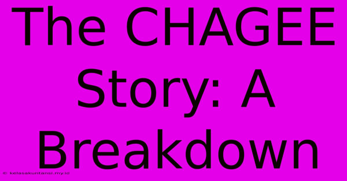 The CHAGEE Story: A Breakdown