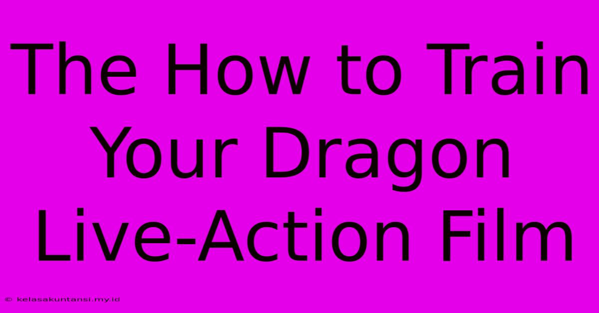 The How To Train Your Dragon Live-Action Film