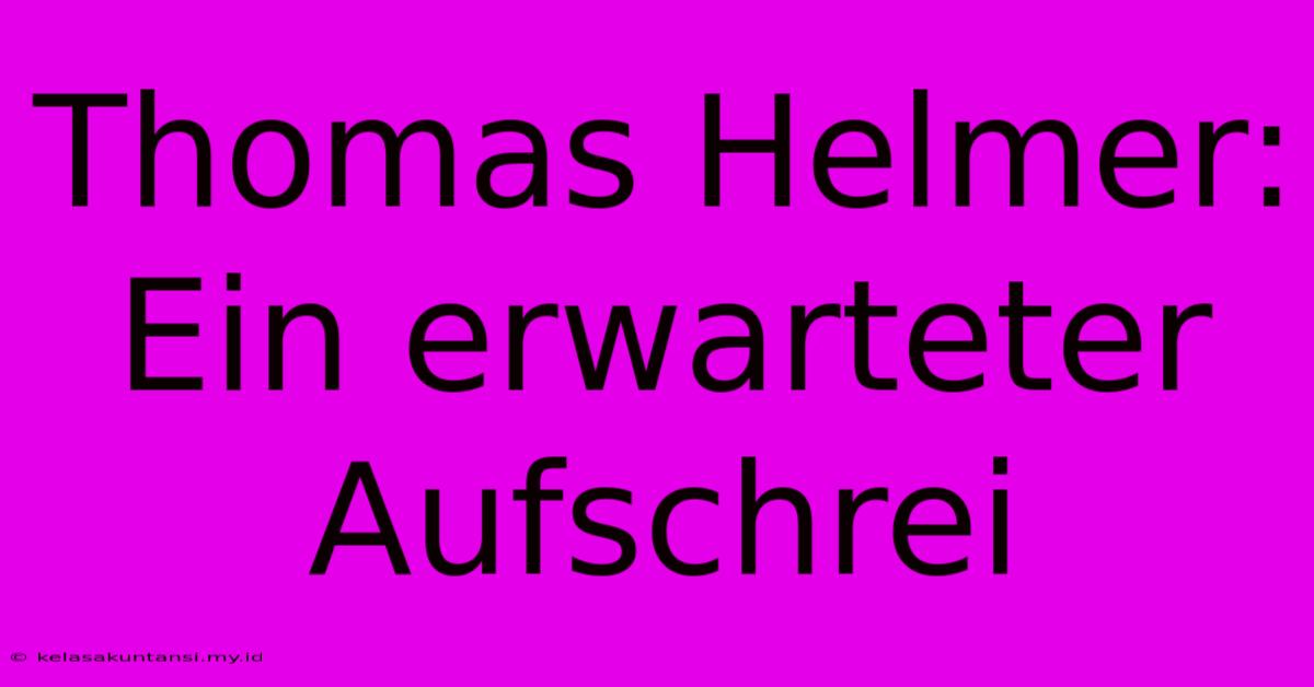 Thomas Helmer:  Ein Erwarteter Aufschrei