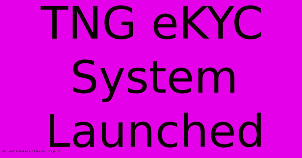 TNG EKYC System Launched