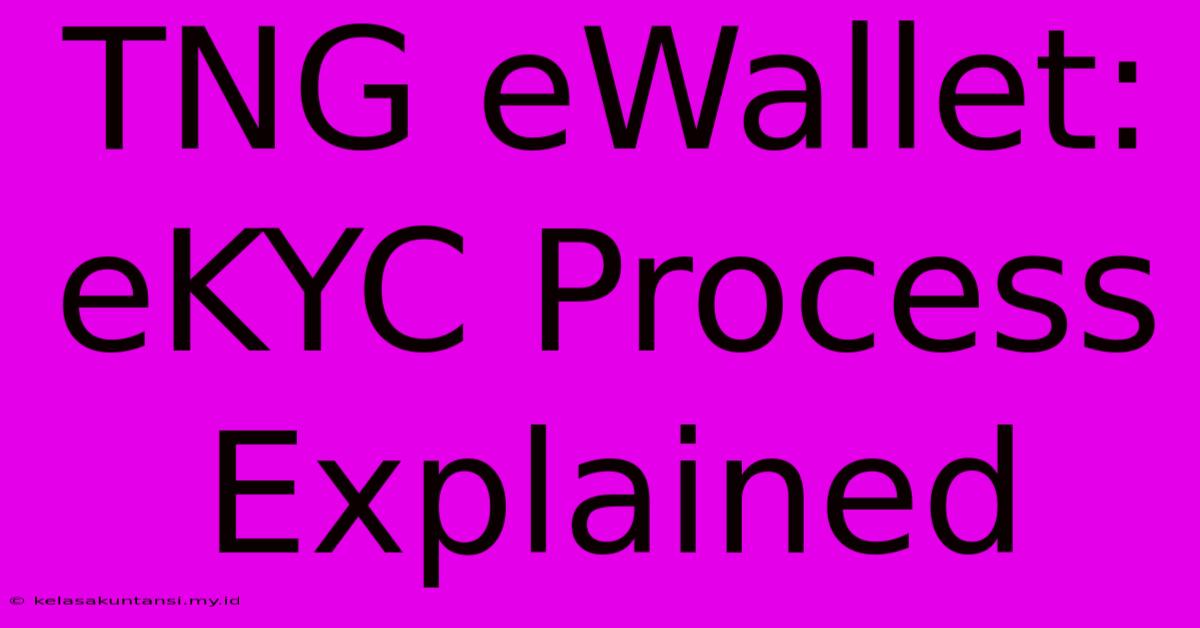 TNG EWallet: EKYC Process Explained