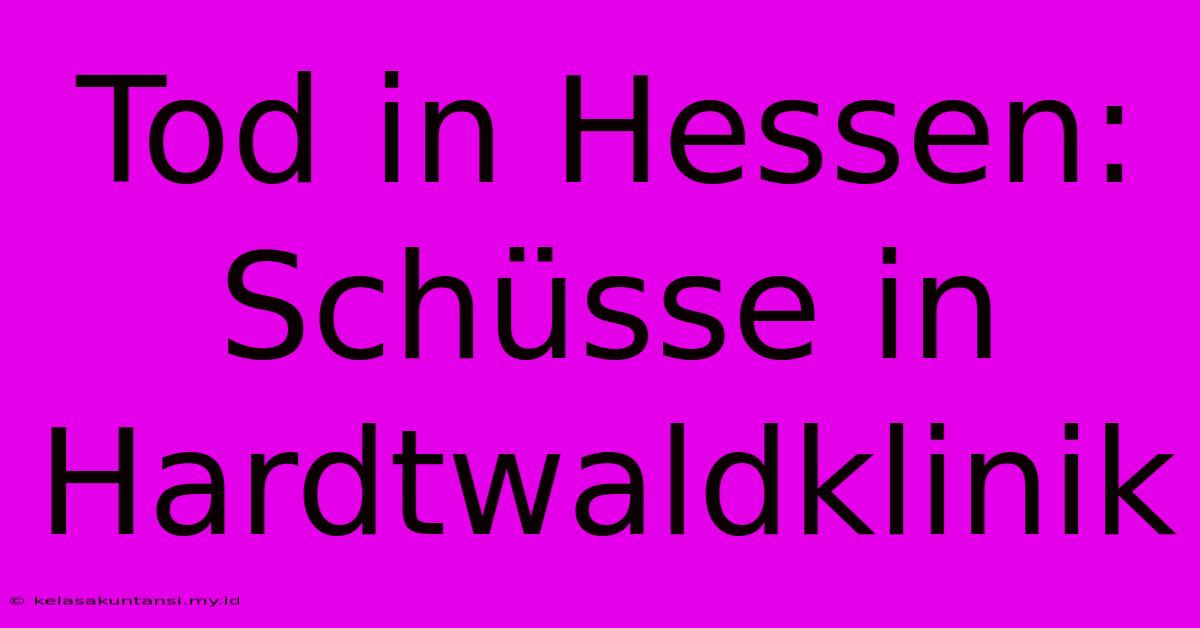 Tod In Hessen: Schüsse In Hardtwaldklinik