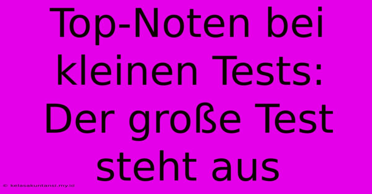 Top-Noten Bei Kleinen Tests: Der Große Test Steht Aus