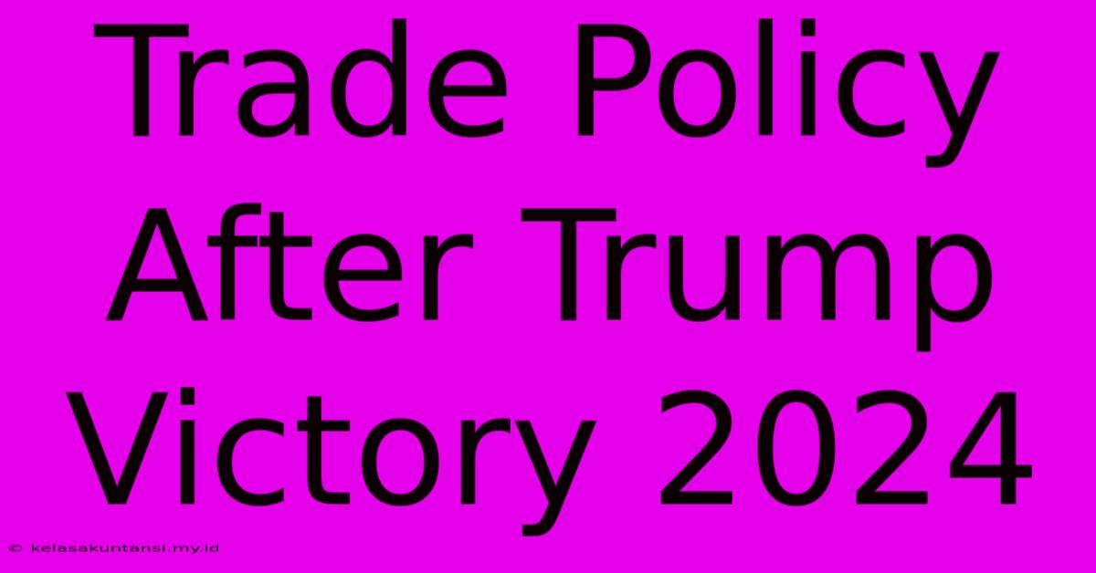 Trade Policy After Trump Victory 2024