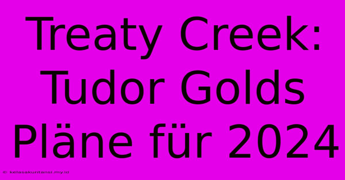 Treaty Creek: Tudor Golds Pläne Für 2024