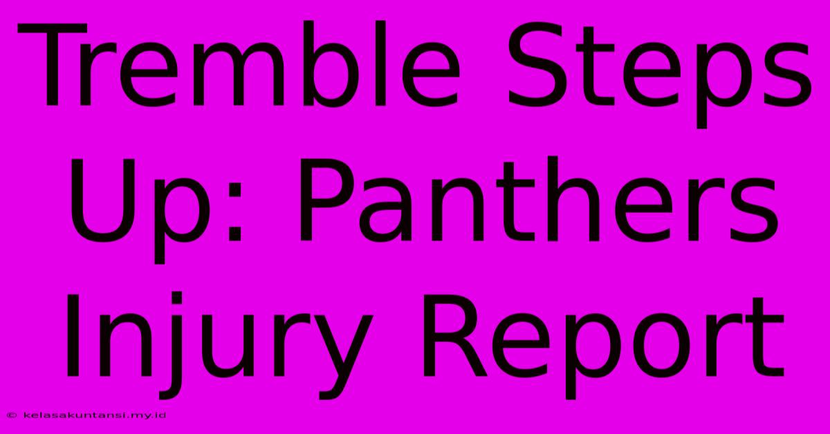 Tremble Steps Up: Panthers Injury Report