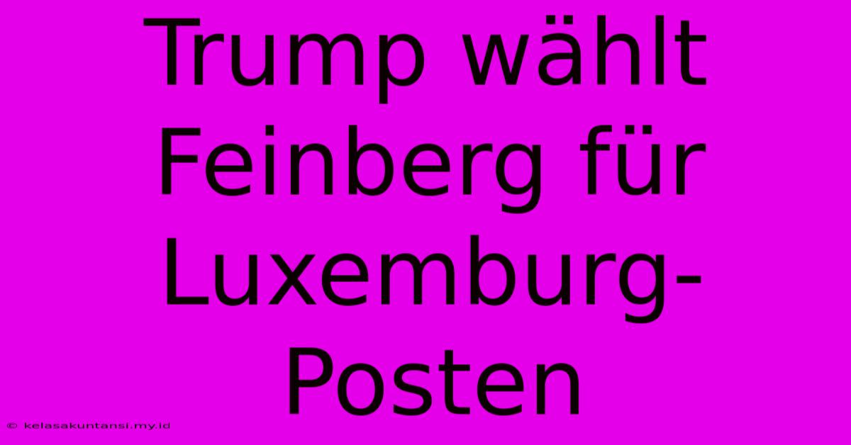 Trump Wählt Feinberg Für Luxemburg-Posten