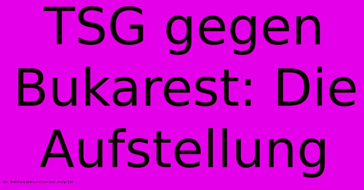 TSG Gegen Bukarest: Die Aufstellung