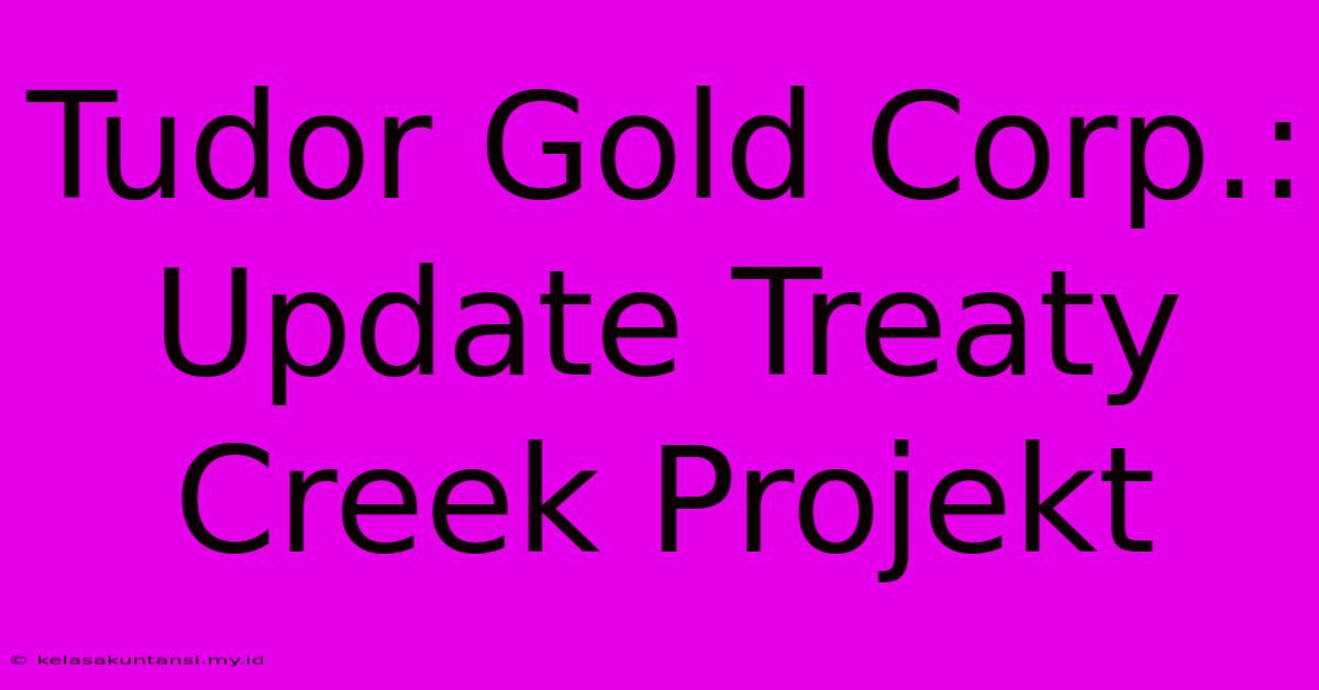 Tudor Gold Corp.: Update Treaty Creek Projekt