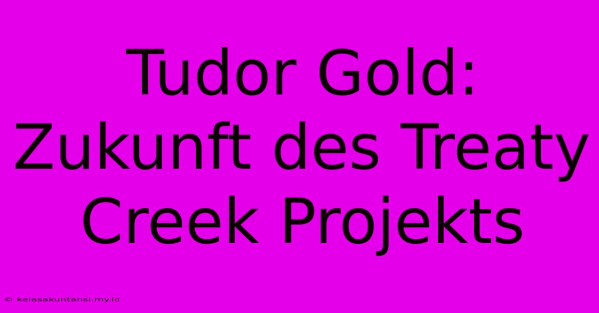 Tudor Gold: Zukunft Des Treaty Creek Projekts