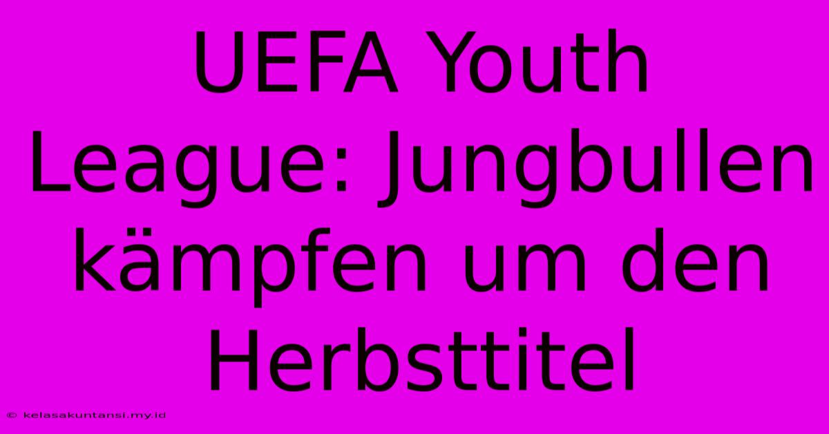 UEFA Youth League: Jungbullen Kämpfen Um Den Herbsttitel