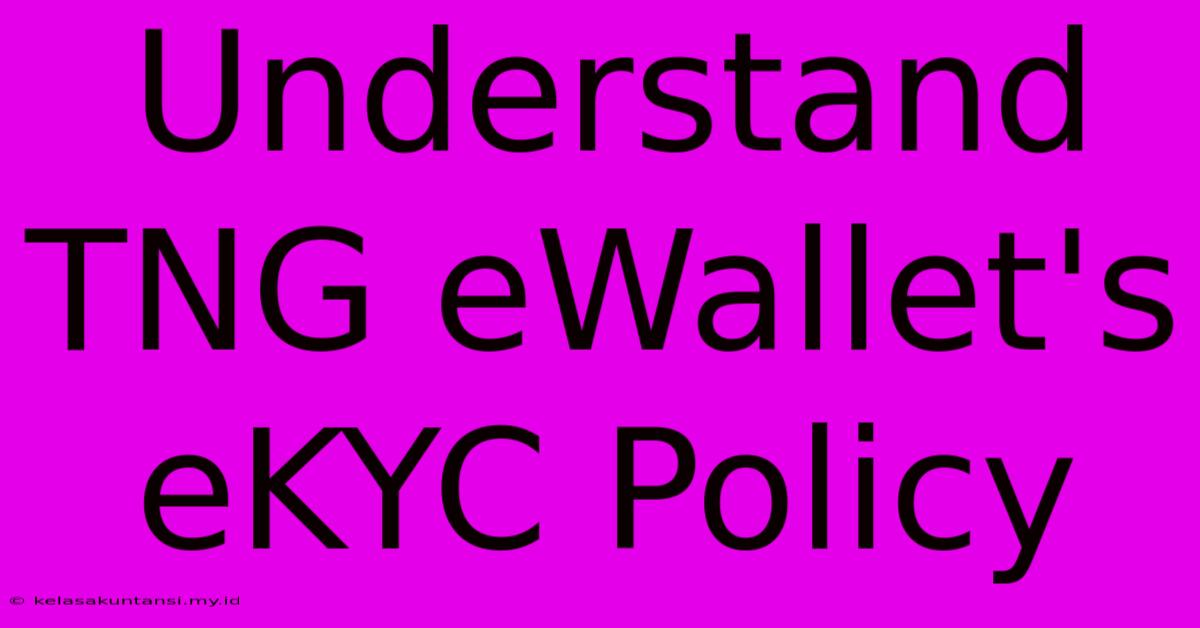 Understand TNG EWallet's EKYC Policy