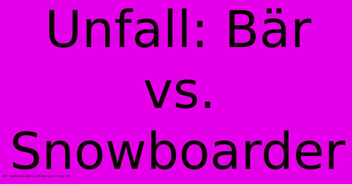 Unfall: Bär Vs. Snowboarder