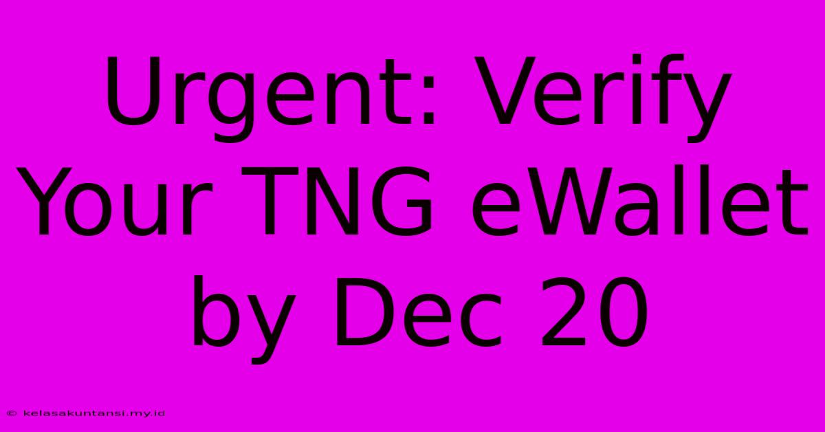 Urgent: Verify Your TNG EWallet By Dec 20