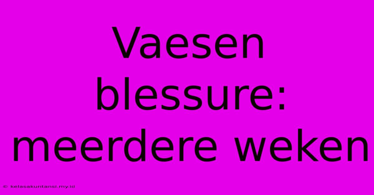 Vaesen Blessure: Meerdere Weken