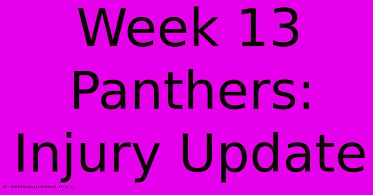 Week 13 Panthers: Injury Update