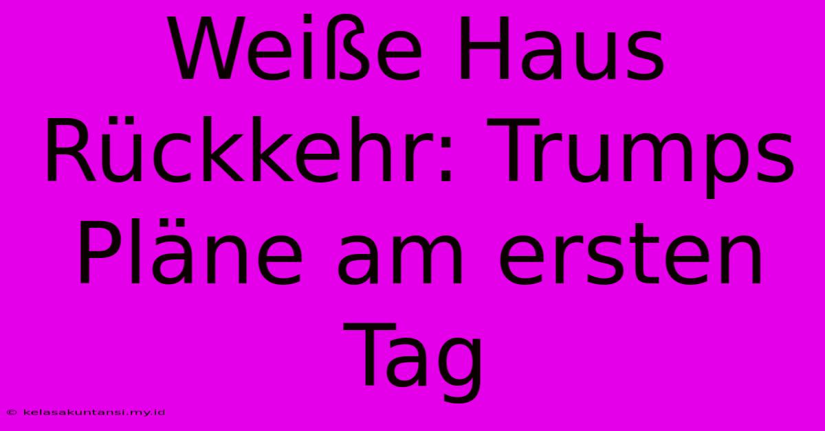 Weiße Haus Rückkehr: Trumps Pläne Am Ersten Tag