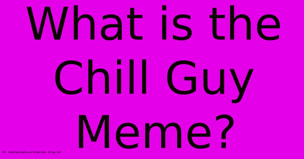 What Is The Chill Guy Meme?