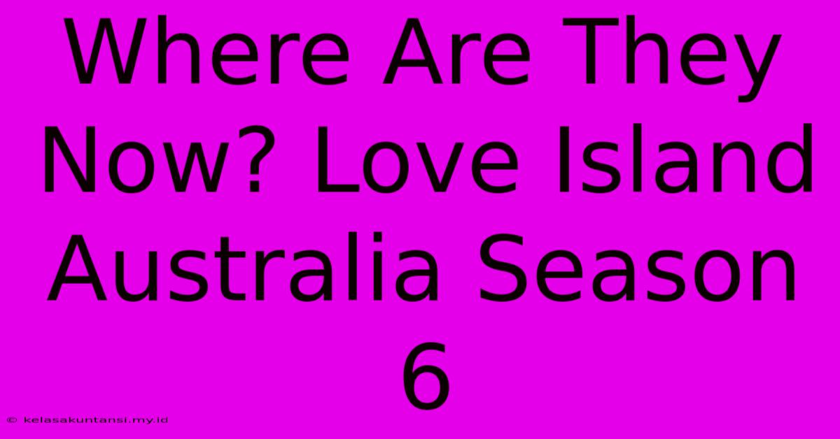 Where Are They Now? Love Island Australia Season 6