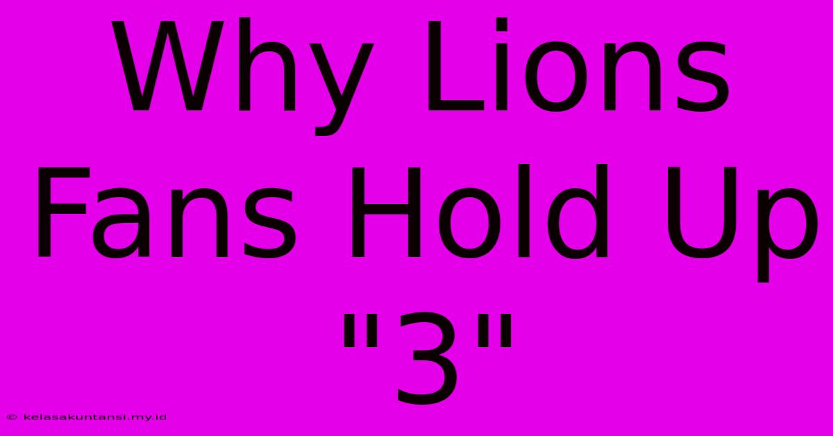 Why Lions Fans Hold Up 