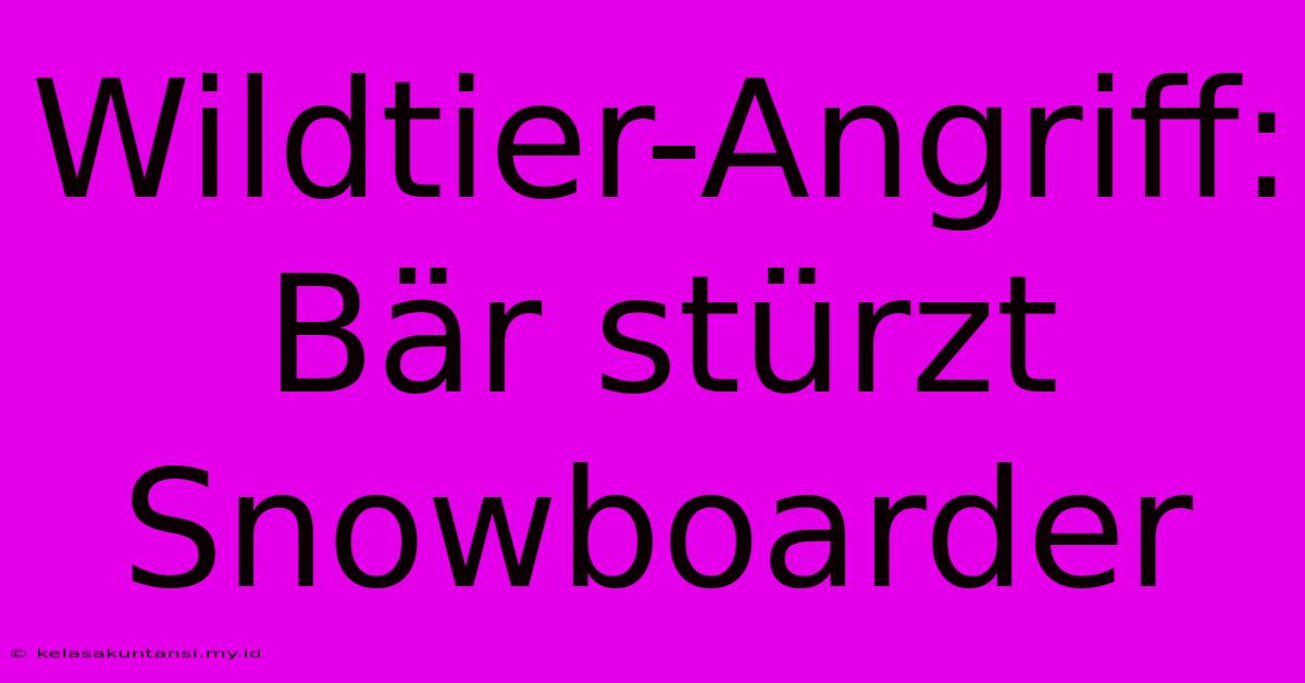 Wildtier-Angriff: Bär Stürzt Snowboarder