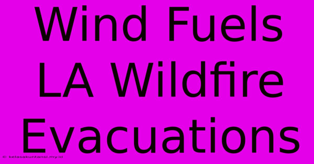 Wind Fuels LA Wildfire Evacuations