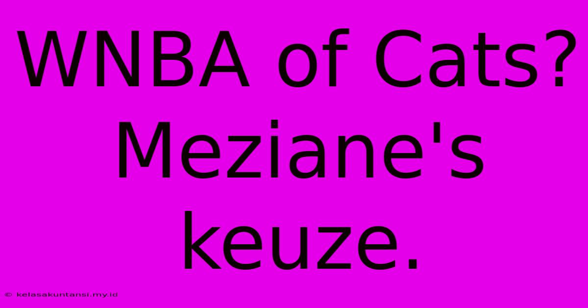 WNBA Of Cats? Meziane's Keuze.