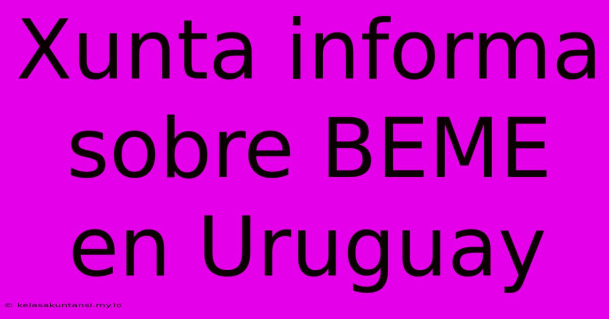 Xunta Informa Sobre BEME En Uruguay