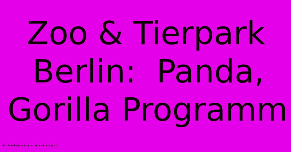 Zoo & Tierpark Berlin:  Panda, Gorilla Programm