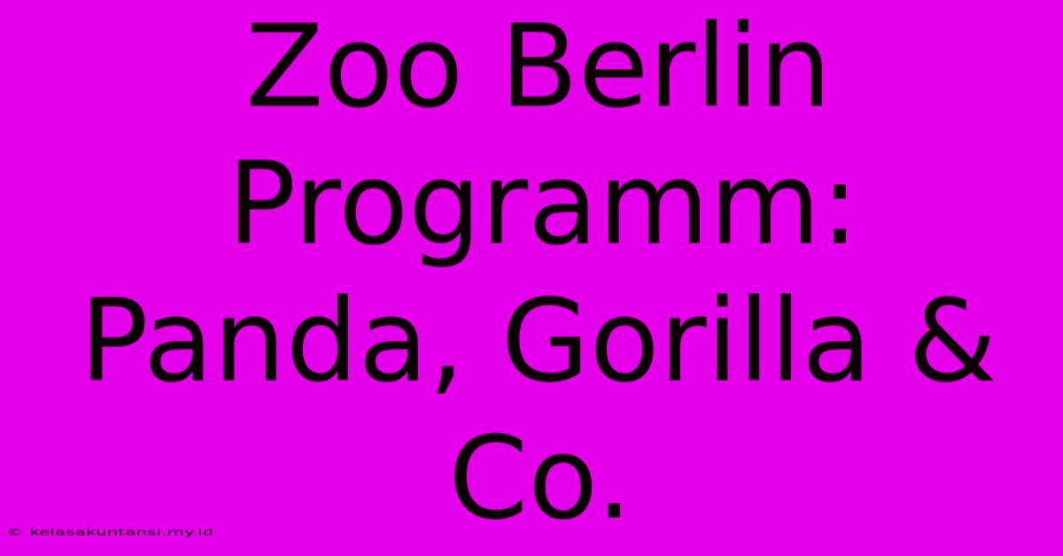 Zoo Berlin Programm: Panda, Gorilla & Co.