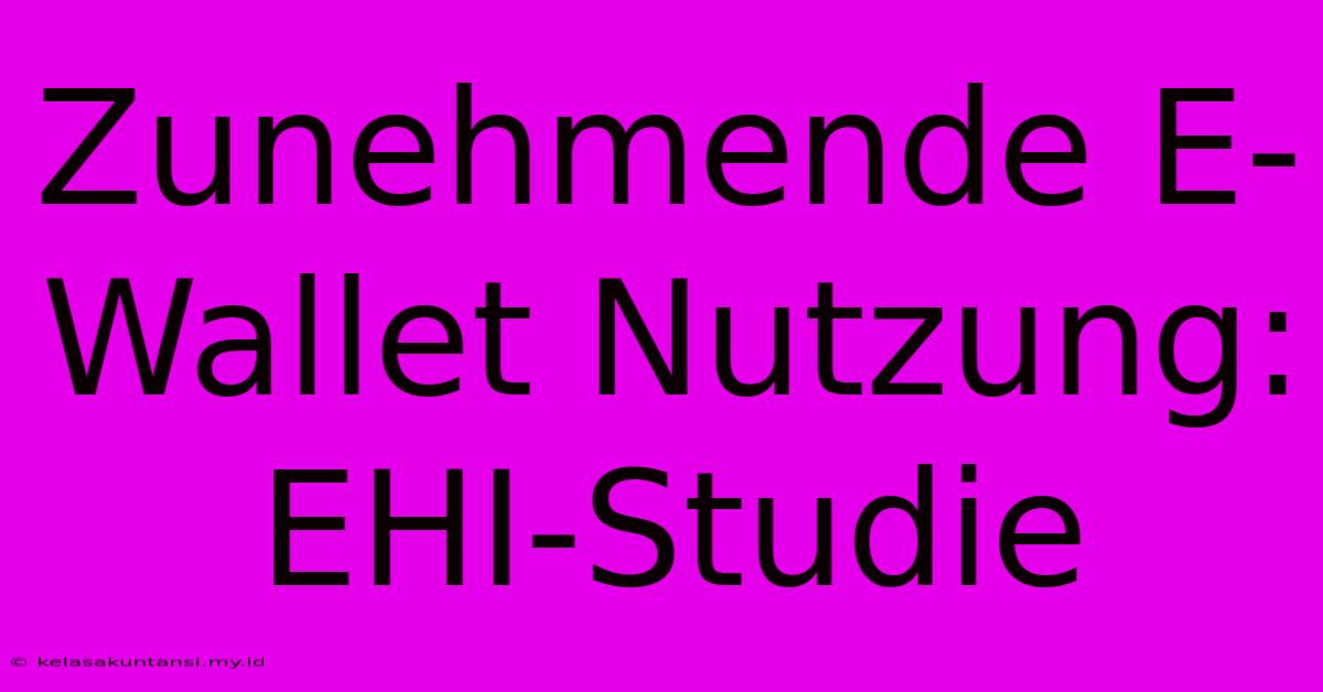 Zunehmende E-Wallet Nutzung: EHI-Studie